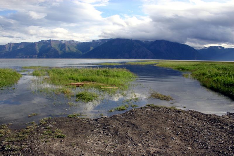 070404 Hope Hatcher Montana Creek (10015)